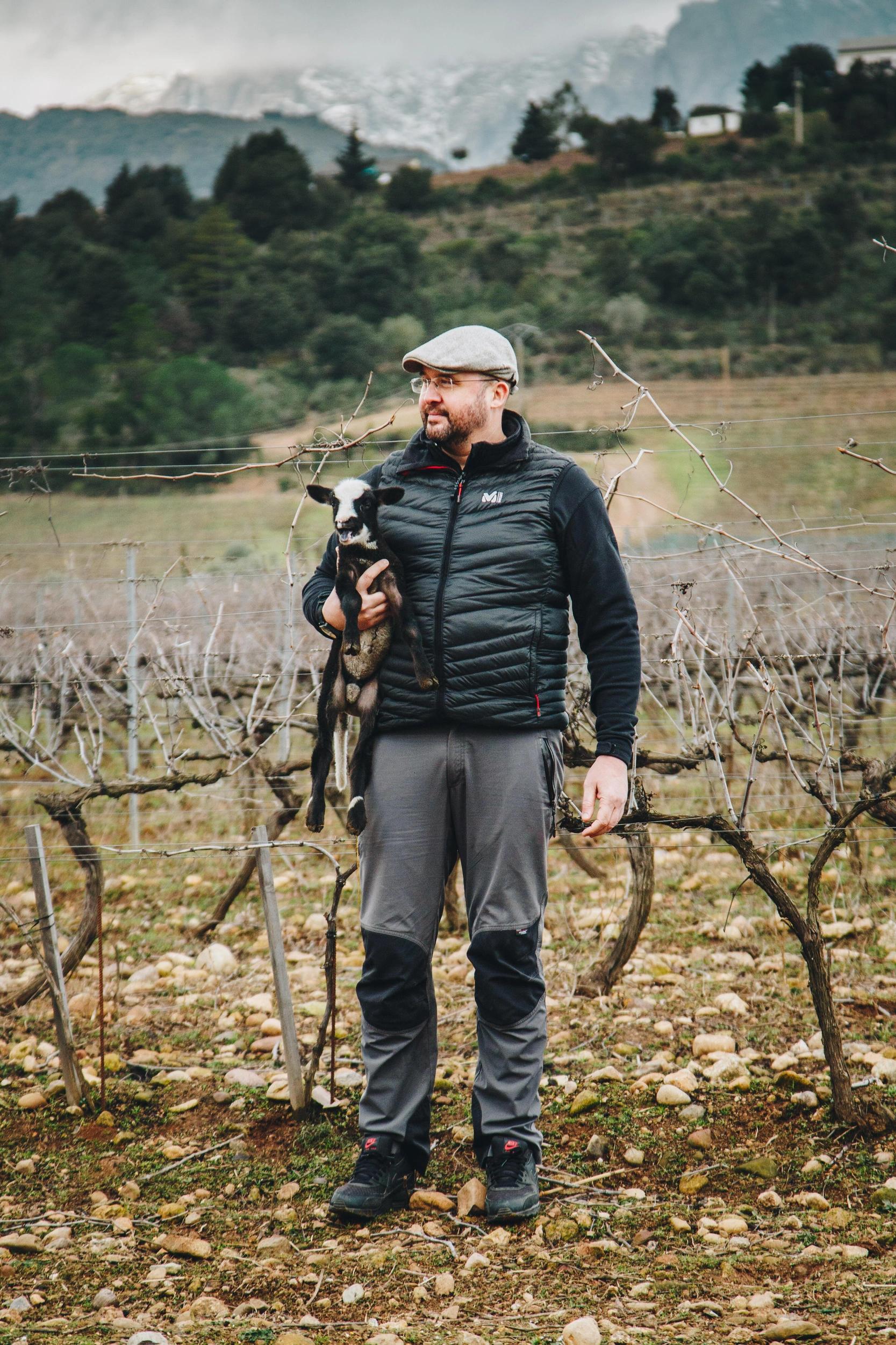 Un vigneron dans les vignes - Caviste en ligne